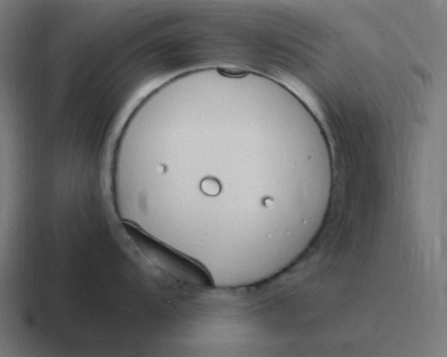 X0000116821104200912312011