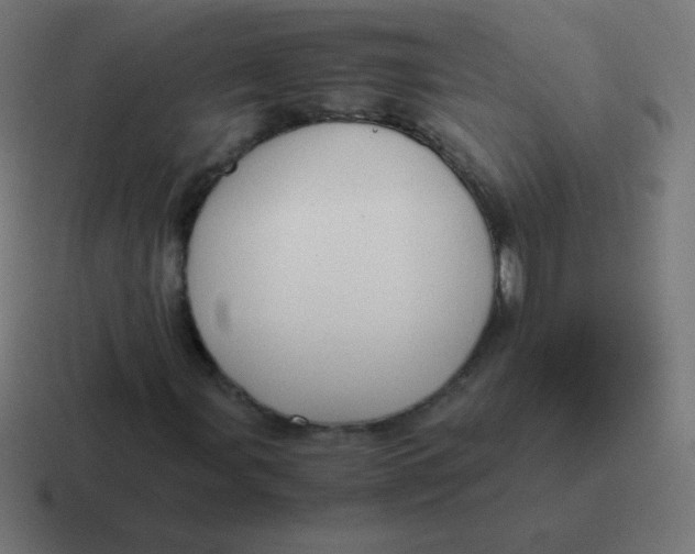 X0000116821107200912312010