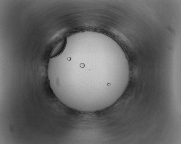 X0000116821110200912312010