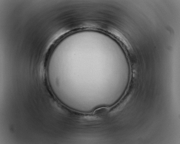 X0000116821117200912312010