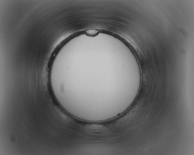 X0000116821119200912312010