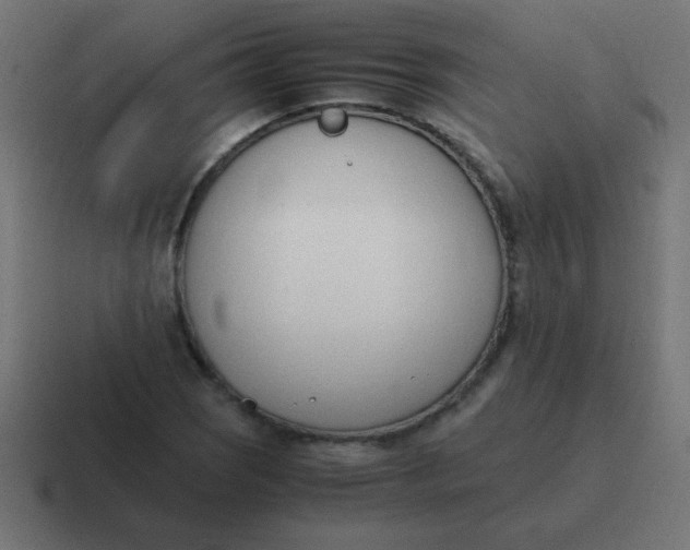 X0000116821121200912312010