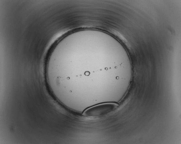 X0000116821122200912312010