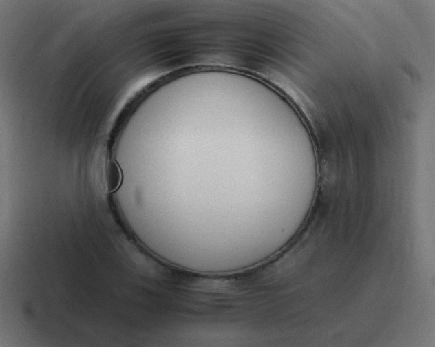 X0000116821123200912312010