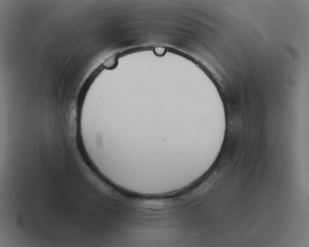 X0000116821126200912312010