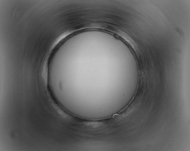 X0000116821127200912312010