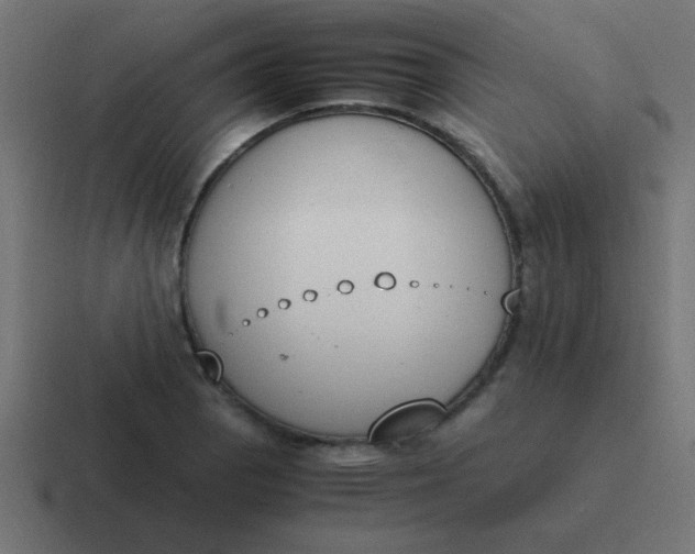 X0000116821129200912312010