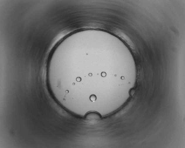 X0000116821130200912312010