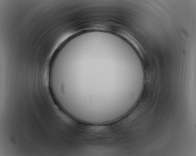 X0000116821131200912312010