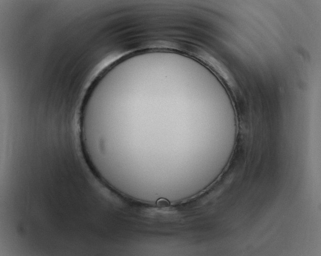 X0000116821133200912312010