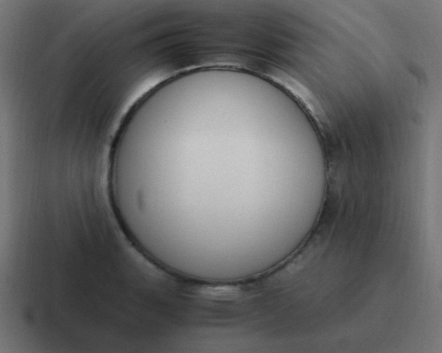 X0000116821135200912312010