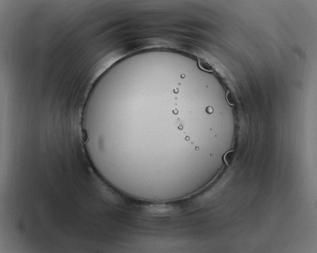 X0000116821137200912312010