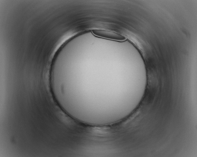 X0000116821138200912312010