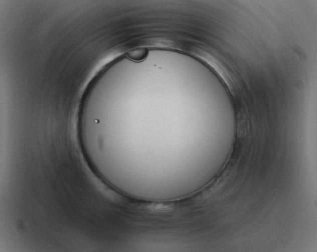 X0000116821139200912312010