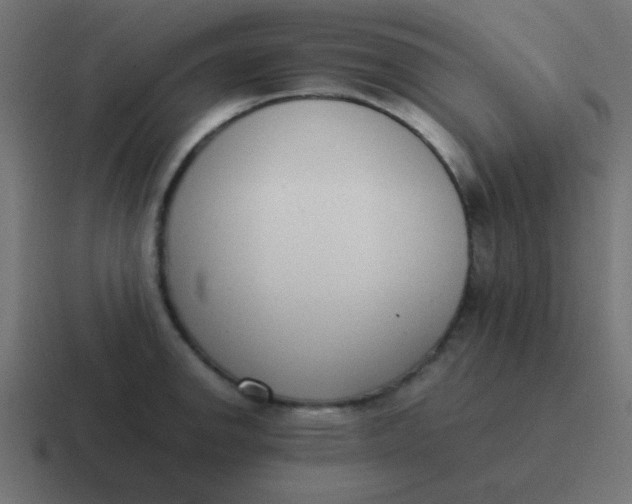 X0000116821142200912312010