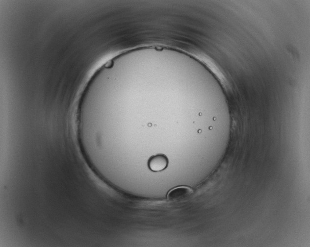 X0000116821143200912312010