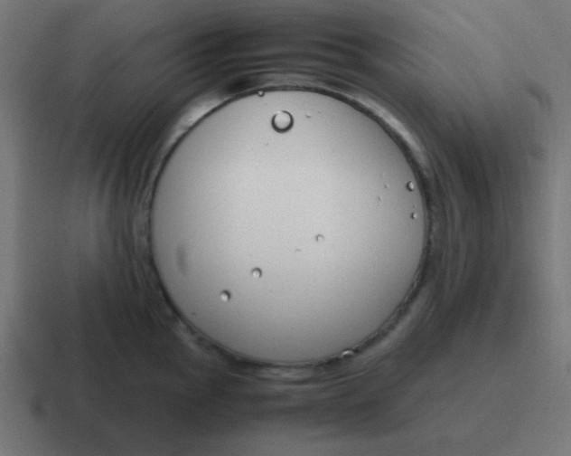 X0000116821145200912312010