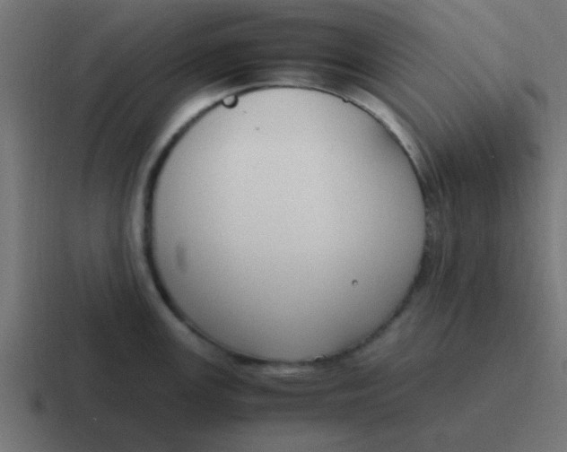 X0000116821147200912312010