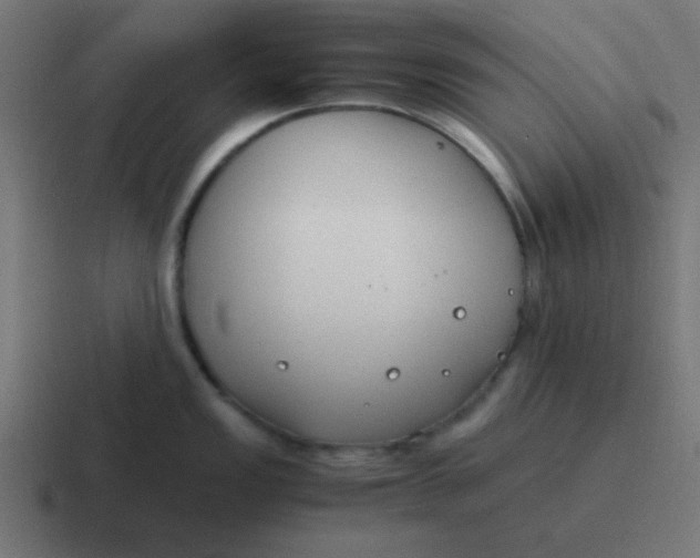 X0000116821149200912312011