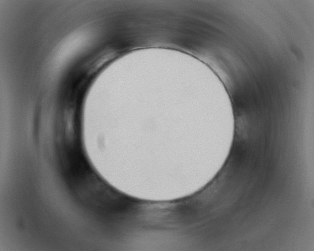 X0000116821150200912312011