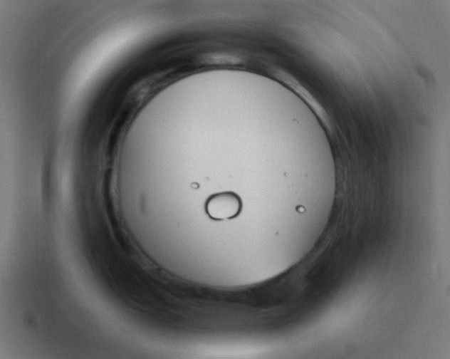 X0000116821151200912312011