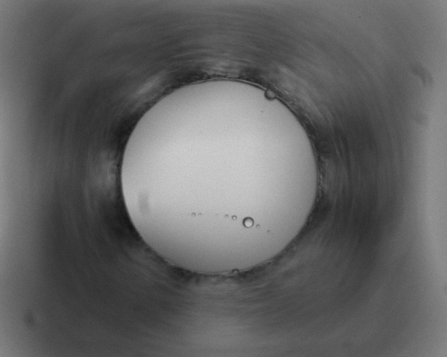 X0000116821154200912312010