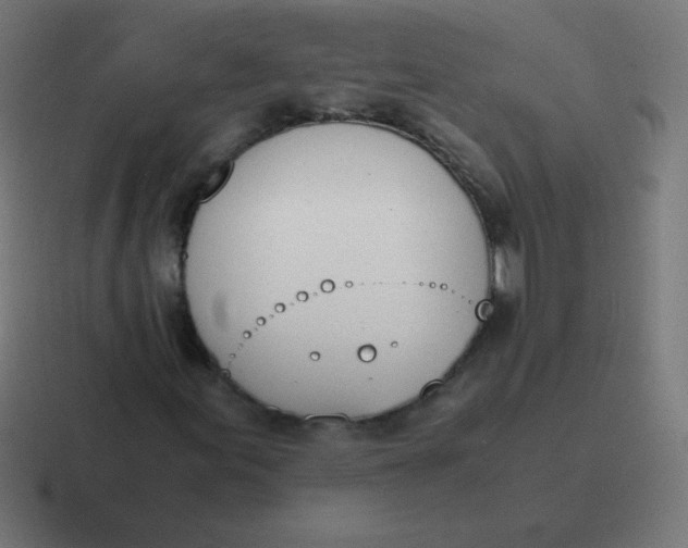 X0000116821155200912312010