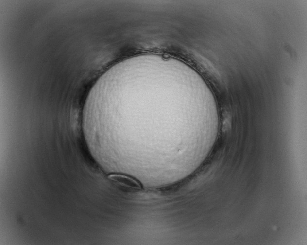 X0000116821156200912312010