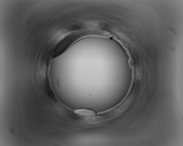 X0000116821161200912312010