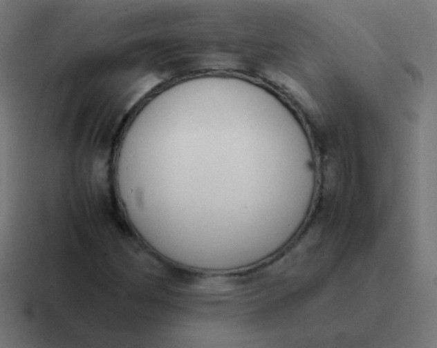 X0000116821162200912312010