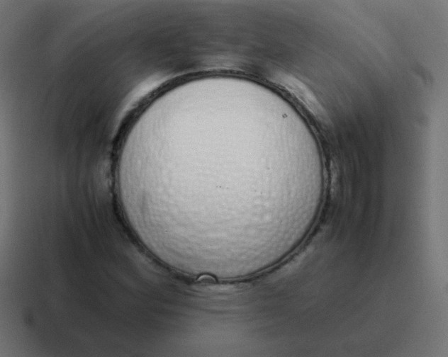 X0000116821164200912312010