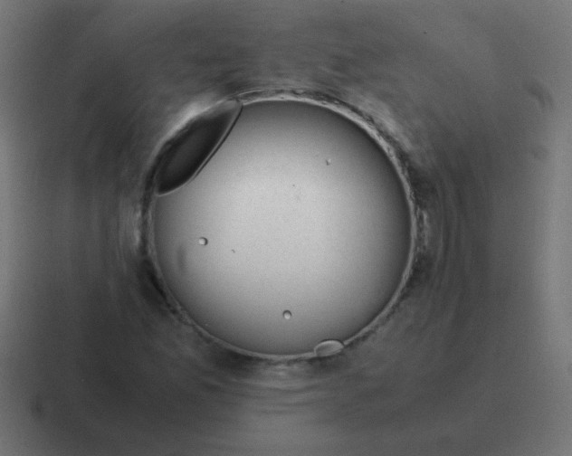 X0000116821165200912312010