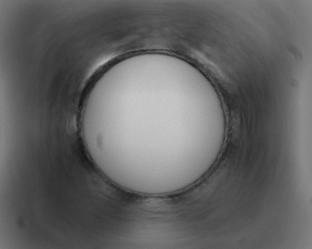 X0000116821166200912312010