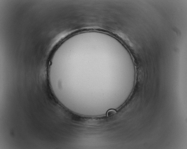 X0000116821167200912312010