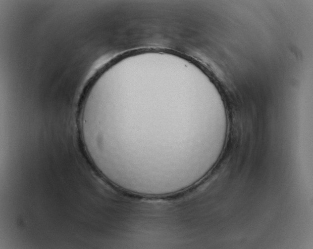 X0000116821168200912312010