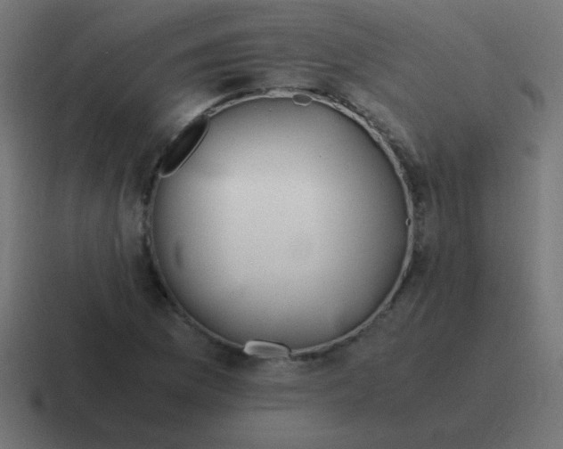 X0000116821169200912312010