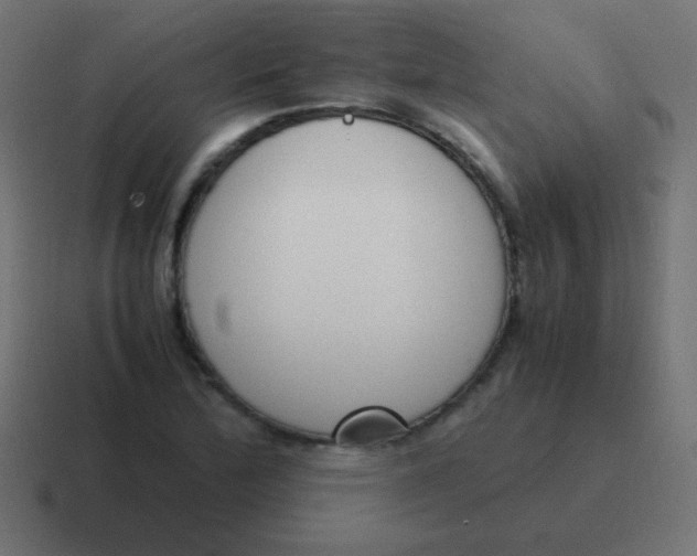 X0000116821172200912312010