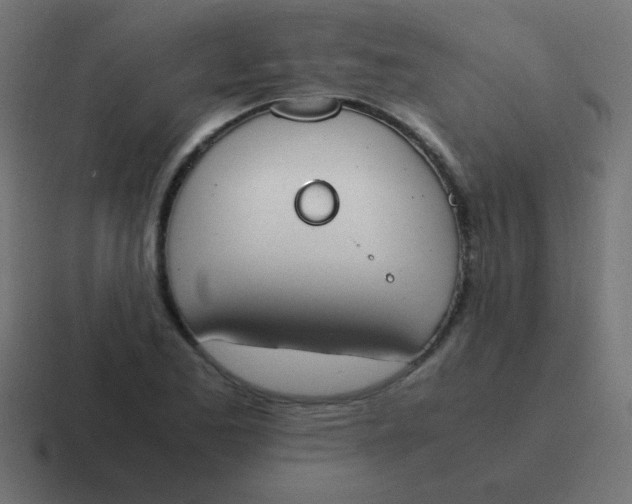 X0000116821173200912312010