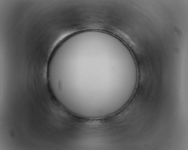 X0000116821174200912312010