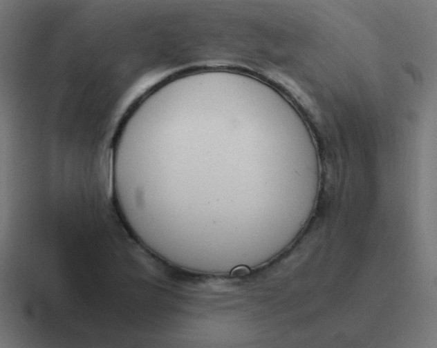 X0000116821175200912312010