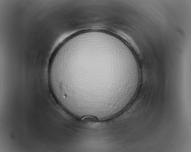 X0000116821176200912312010