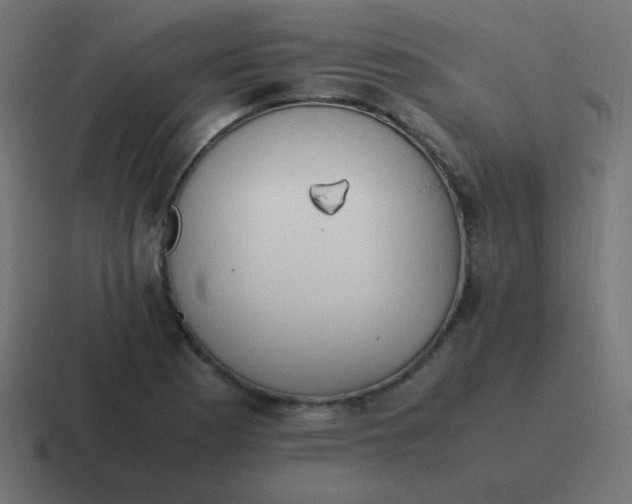 X0000116821177200912312010