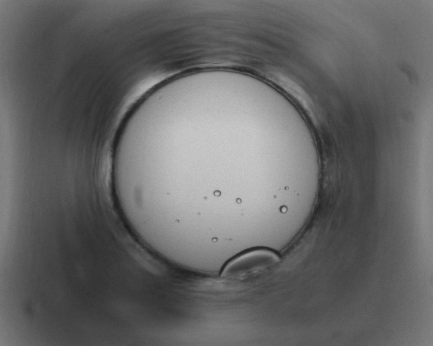 X0000116821179200912312010