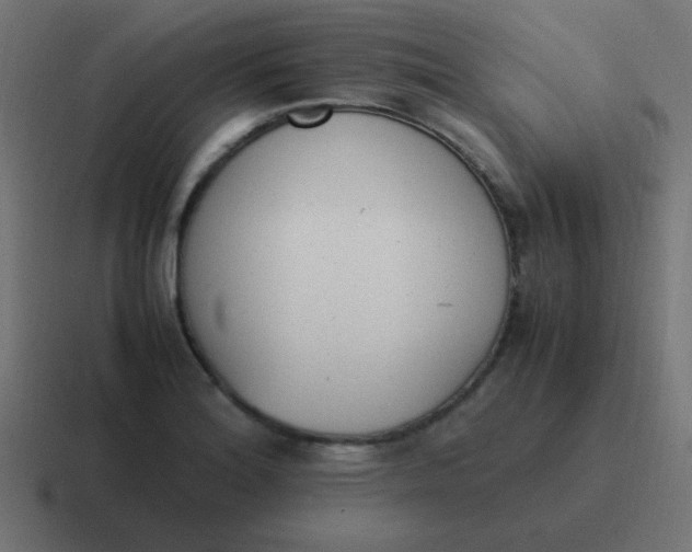 X0000116821180200912312010