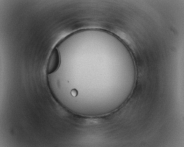 X0000116821181200912312010