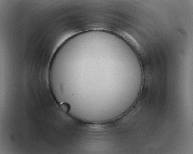 X0000116821182200912312010