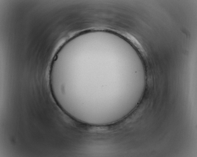 X0000116821183200912312010