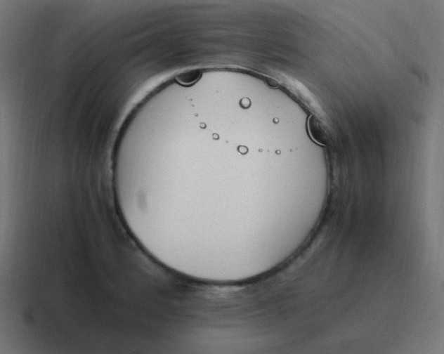 X0000116821184200912312010