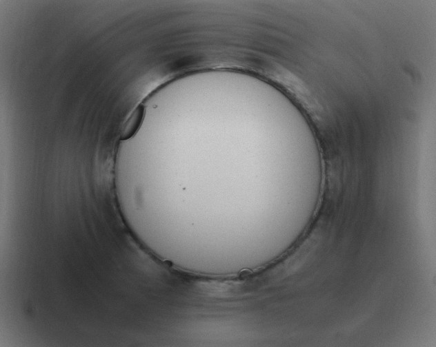 X0000116821185200912312010