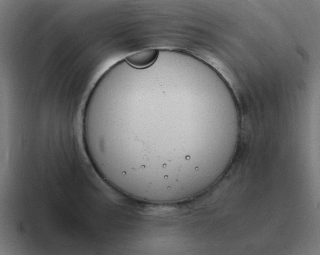 X0000116821187200912312010